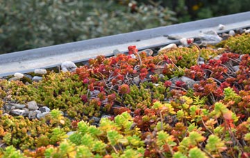 the cost of Listerdale green roof installation