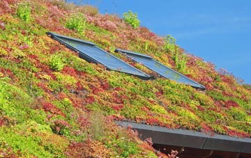 Listerdale living roof systems